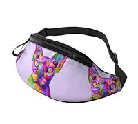 Bolso De Cintura Gato Sphynx Colorido Unisex Bumbag con Agujero De Auriculares,Ligera Riñonera Deportiva para Mujer Hombre Actividades 14X35Cm