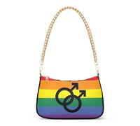 Bolso de mano de identidad sexual con bandera del orgullo gay arcoíris para mujer, bolso de hombro con cierre de cremallera y correa de cadena
