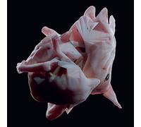 Bolt Ruin - Obriultn [Vinilo]