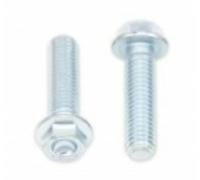 Bolt Tornillo de brida de cabeza hexagonal 10mm M8x1, 25x30mm 10 uds, tamaño 65 mm