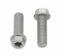 Bolt Tornillo de cabeza hexagonal/Torx M8x1,25x25mm 10 uds