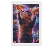 Boltpack Kits de arte con estampado de gato y pizza de galaxia para adultos, puntos de diamante redondos, regalo y decoración de pared del hogar, 20 x 30 cm