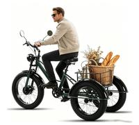 BoluDukNN Triciclo Eléctrico 24 Pulgadas 7 Velocidades para Adultos, Batería Extraíble 48 V 15 Ah, Pantalla LCD, E-Trike De Neumáticos Anchos con Cesta Grande, Bicicleta Eléctrica De 3 Ruedas Green