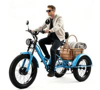 BoluDukNN Triciclo Eléctrico 24 Pulgadas 7 Velocidades para Adultos, Batería Extraíble 48 V 15 Ah, Pantalla LCD, E-Trike De Neumáticos Anchos con Cesta Grande, Bicicleta Eléctrica De 3 Ruedas Blue