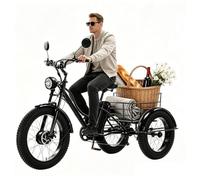 BoluDukNN Triciclo Eléctrico 24 Pulgadas 7 Velocidades para Adultos, Batería Extraíble 48 V 15 Ah, Pantalla LCD, E-Trike De Neumáticos Anchos con Cesta Grande, Bicicleta Eléctrica De 3 Ruedas Black