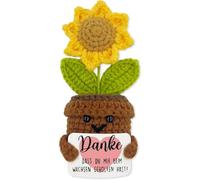 boluoboluomi Regalos para profesores, regalos de agradecimiento para profesores, girasol positivo, regalos para educadores, regalos de despedida, regalos para profesores, regalos de graduación