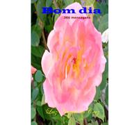 Bom dia: 366 mensagens (Bom dia Good morning Buongiorno Buenos dias)