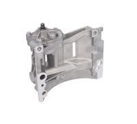 Bomba de aceite PIERBURG 7.29246.01.0