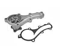 MEYLE Bomba de agua para NISSAN: Primera, Almera, Almera Tino (Ref: 36-13 220 0005)