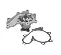MEYLE Bomba de agua para NISSAN: Almera, Primera, Almera Tino, X-Trail (Ref: 36-13 220 0007)