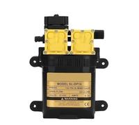 Bomba de agua eléctrica agrícola de alta presión, 12V, 7A, 10L/min, pulverizador de agua, potencia de doble núcleo