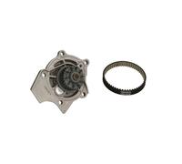 Bomba de agua + juego de correas de distribución CONTINENTAL CT1143WP1