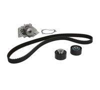 Bomba de agua + juego de correas de distribución CONTINENTAL CT987WP1