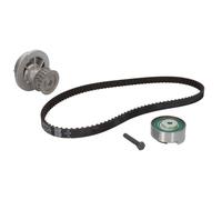 Bomba de agua + juego de correas de distribución INA 530 0004 32