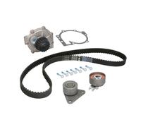 Kit de distribución + bomba de agua 530 0063 30 INA para RENAULT VOLVO