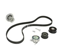 Bomba de agua + juego de correas de distribución INA 530 0078 32