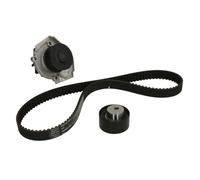 Bomba de agua + juego de correas de distribución INA 530 0228 30