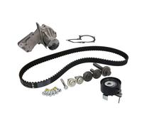 INA 530 0495 30 Bomba de agua + kit de correa de distribución 27 mm Compatible con FORD Fiesta Mk6 Hatchback CB1, CCN, JA8, JR8 MONDEO IV Turnier BA7 FOCUS III Turnier C-Max II DXA/CB7, DXA/CEU, VOLVO