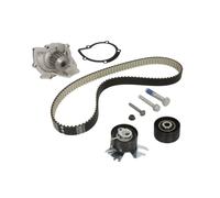 Ina Kit de distribución y bomba de agua 530 0558 31 para Citroën Peugeot Fiat DS 29 mm con junta