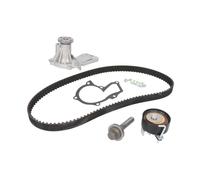 Kit de distribución + bomba de agua 530 0605 30 INA para FORD VOLVO