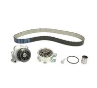 SNR Bomba de agua + kit correa distribución para VOLKSWAGEN: Sharan, New Beetle, Passat, Golf, Bora & AUDI: A4, A6, A3 (Ref: KDP457.270)