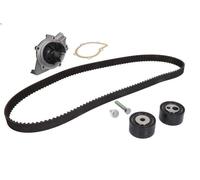 Kit de distribución + bomba de agua 530 0368 30 INA para PEUGEOT CITROËN