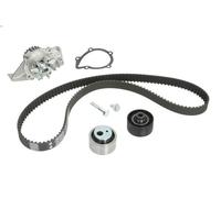 Kit de distribución + bomba de agua 530 0440 30 INA para PEUGEOT CITROËN FIAT