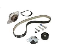 Bomba de agua + kit correa distribució INA 530 0558 31 para DS5 2 2011-2015