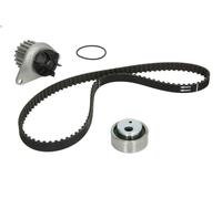 Bomba de agua + kit correa distribución INA 530 0012 30 para AX (ZA-_) 1 1987-