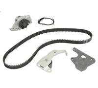 Bomba de agua + kit correa distribución INA 530 0096 30 para ZX (N2) 1.9 1992-