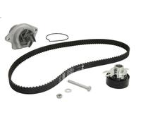 Bomba de agua + kit correa distribución INA 530 0166 31 para POLO (6N2) 1 1999-