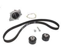 Bomba de agua + kit correa distribución INA 530 0234 30 para 406 2.2 2000-2004