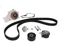 Bomba de agua + kit correa distribución INA 530 0239 30 para C2 (JM_) 1.4 2003-