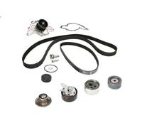 Bomba de agua + kit correa distribución INA 530 0416 31 A4 B5 (8D2) 2.5 1997-2