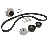 Bomba de agua + kit correa distribución INA 530 0441 30 para TIGRA 1.4 1994-