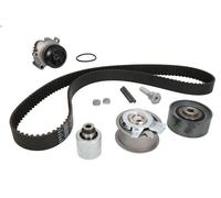 Bomba de agua + kit correa distribución INA 530 0463 30 para A3 (8P1) 2 2003-