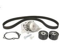 Bomba de agua + kit correa distribución INA 530 0474 30 C3 II (SC_) 1.4 2009-