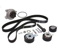 Bomba de agua + kit correa distribución INA 530 0484 31 para S70 2.5 1999-2