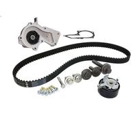 Bomba de agua + kit correa distribución INA 530 0495 30 para 2 (DY) 1.4 2003-