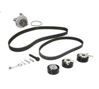 Bomba de agua + kit correa distribución INA para AUDI A6 C4 (4A2) 2.5 1995-1997
