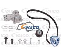 Bomba de agua kit correa distribución VAICO V25-50039-BEK