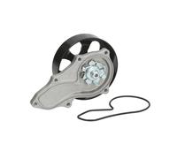 Bomba de agua MAGNETI MARELLI 352316170459