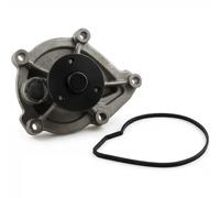 Bomba de agua mecánico 4114102900 JP GROUP para CITROËN PEUGEOT MINI BMW DS OPEL