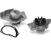 INA 538 0008 10 Bomba de agua Tipo de servicio: mecánico Número de dientes: 20 Compatible con PEUGEOT 206 Fastback 2A/C 307 3A/C 307 SW 3H, SUZUKI Grand Vitara I SUV FT, HT, CITROËN C4 I LC