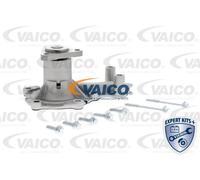 VAICO Bomba de agua para FORD: C-Max, Connect, Focus, Fiesta, Courier, Ecosport, B-Max, Transit/Tourneo, Mondeo (Ref: V25-50029)