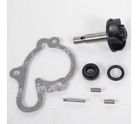 Bomba de Agua Moto Rieju 50 Mrx 2002-2006 Nuevo