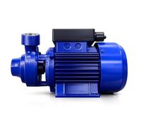 Bomba de Agua para Vivienda Riego y Jardin deAlta Presion y Capacidad 2000 l/h Electrobomba Periferica 0.5 Cv 230 V Cisterna Tanques Sistema Presion Superficie Hierro Fundido Compacta Solida - Fluvia
