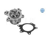 MEYLE Bomba de agua para MINI: MINI & TOYOTA: Corolla, Auris, Yaris (Ref: 313 220 0010)