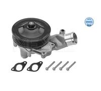 MEYLE Bomba de agua para JAGUAR: F Type, F Pace, XF, XK, XJ, XE & LAND ROVER: Range Rover, Discovery (Ref: 53-13 220 0006)