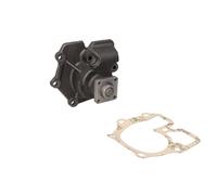 Bomba de agua SKF VKPC 84618